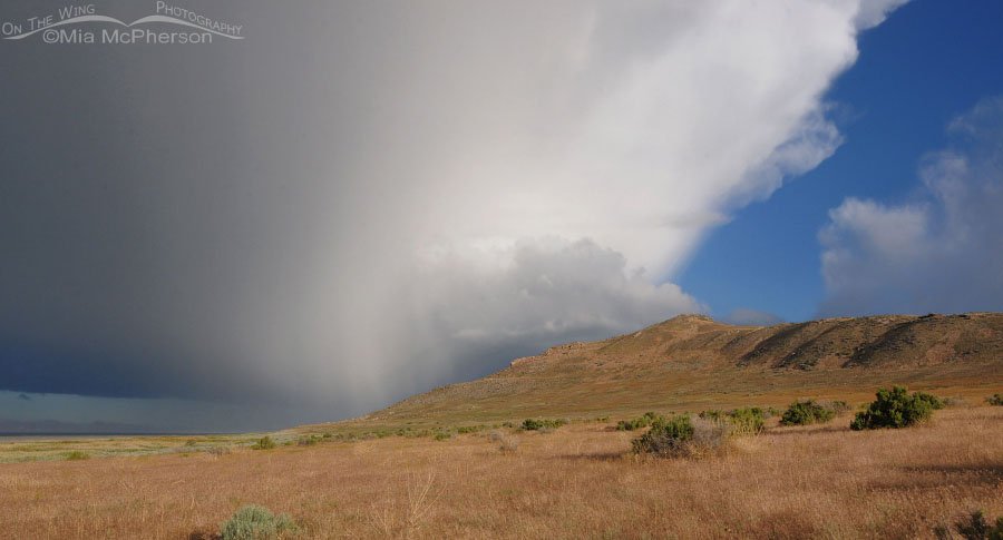 Storm over Buffalo Point, Antelope Island State Park, Davis County, Utah