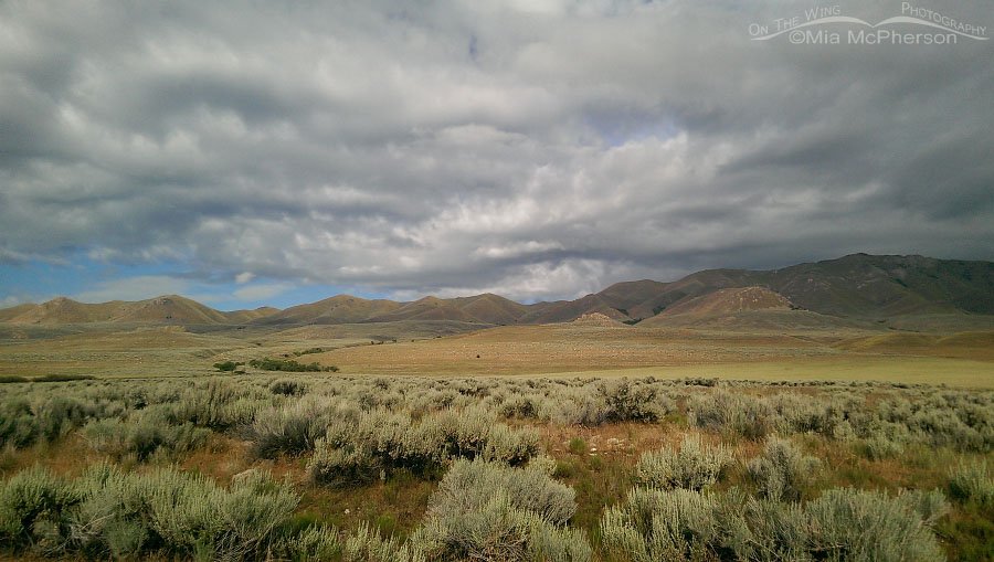Stormy clouds over Antelope Island State Park, Davis County, Utah