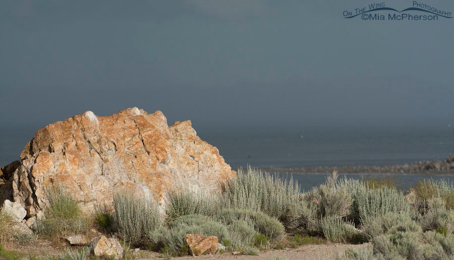 Stormy sky over the Great Salt Lake as viewed from Ladyfinger Point, Antelope Island State Park, Davis County, Utah