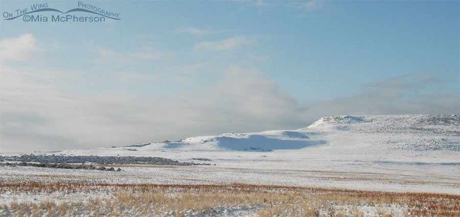 Buffalo Point covered in snow, Antelope Island State Park, Davis County, Utah