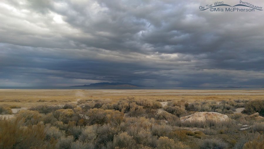 Storm clouds over Fremont Island and Promontory Point as seen from Antelope Island State Park, Davis County, Utah