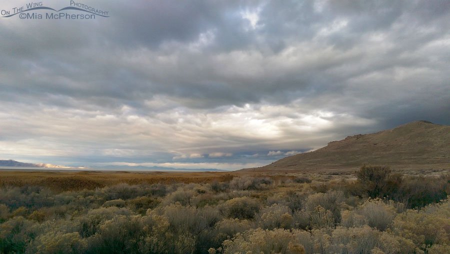 White Rock Bay campground under the storm clouds, Antelope Island State Park, Davis County, Utah