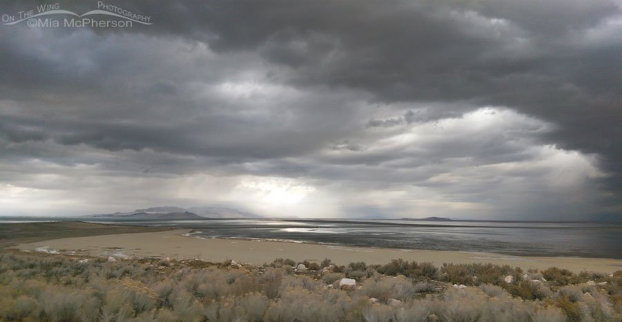 Stormy day on Antelope Island State Park, Davis County, Utah