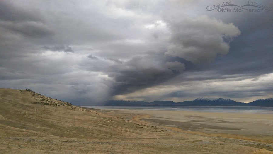 View from Frary Peak Trail head as the storm moves south, Antelope Island State Park, Davis County, Utah