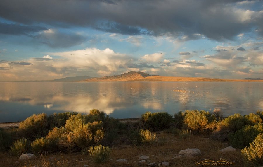 Antelope Island under stormy skies, Antelope Island State Park, Davis County, Utah