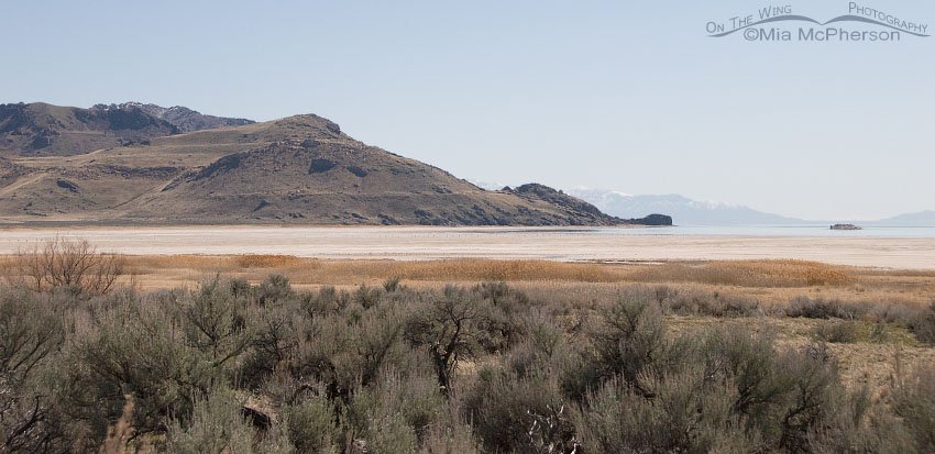 View of White Rock Bay on Antelope Island, Utah