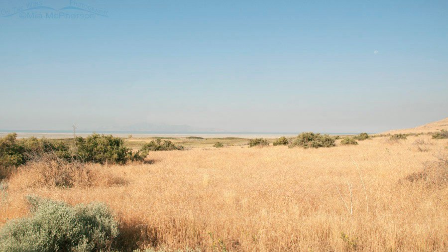 Smokey skies from White Rock Bay campground at 18mm, August 21, 2016, Antelope Island State Park, Davis County, Utah
