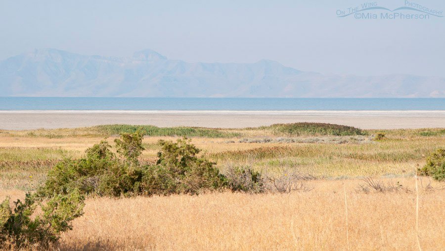 Smokey skies from White Rock Bay campground at 95mm, August 21, 2016, Antelope Island State Park, Davis County, Utah