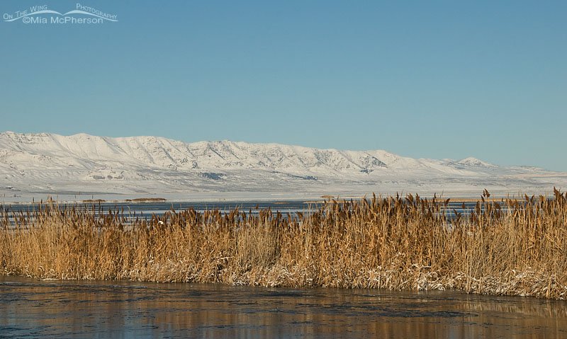 Christmas Day at Bear River MBR 2012, Box Elder County, Utah