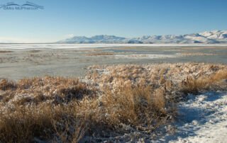 Christmas Day at Bear River National Wildlife Refuge looking towards Promontory Point