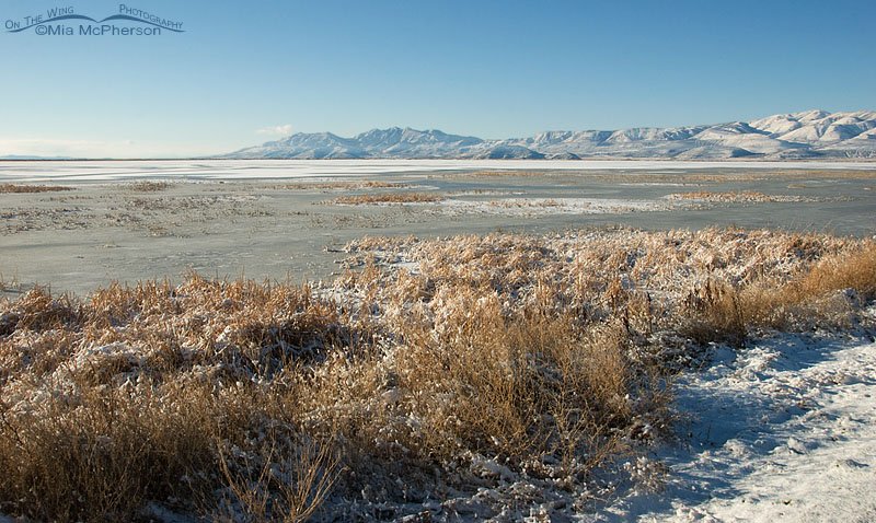 Christmas Day at Bear River Migratory Bird Refuge looking towards Promontory Point, Utah