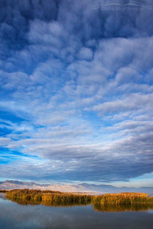 Clouds, Sunshine & Marsh at Bear River MBR, Box Elder County, Utah