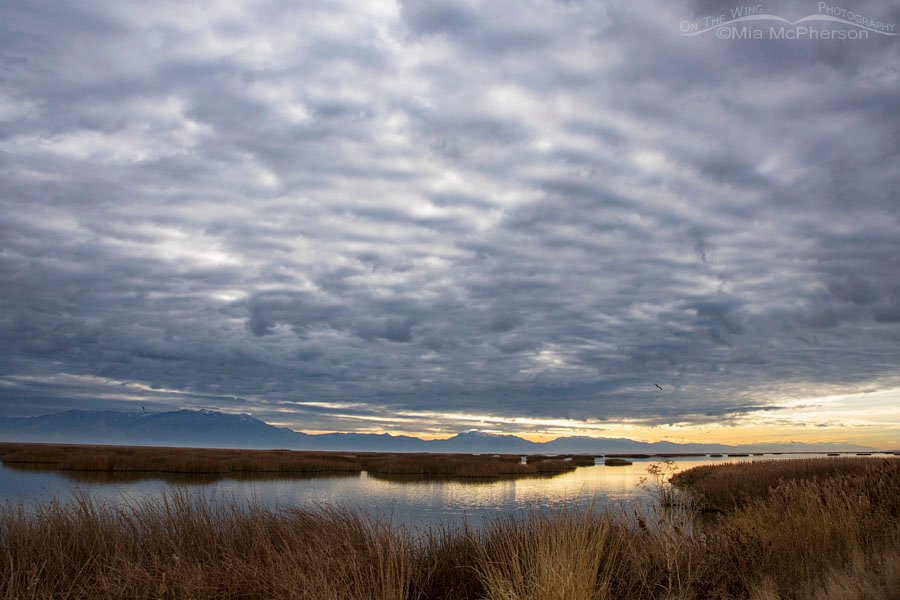 Heavy clouds over the marsh at Bear River MBR, Box Elder County, Utah