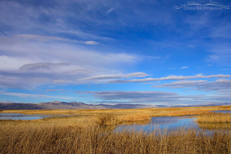 Dissipating clouds over Bear River MBR, Box Elder County, Utah