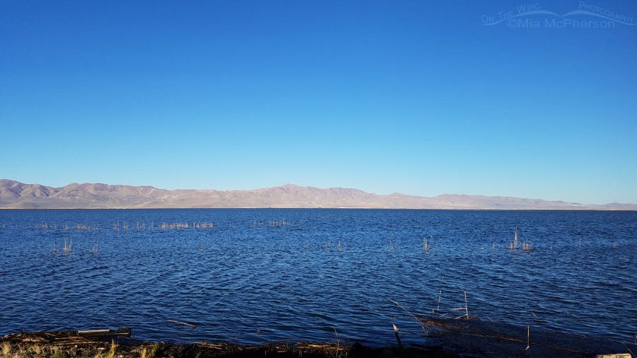 Wide open view at Bear River MBR Fall 2018, Box Elder County, Utah