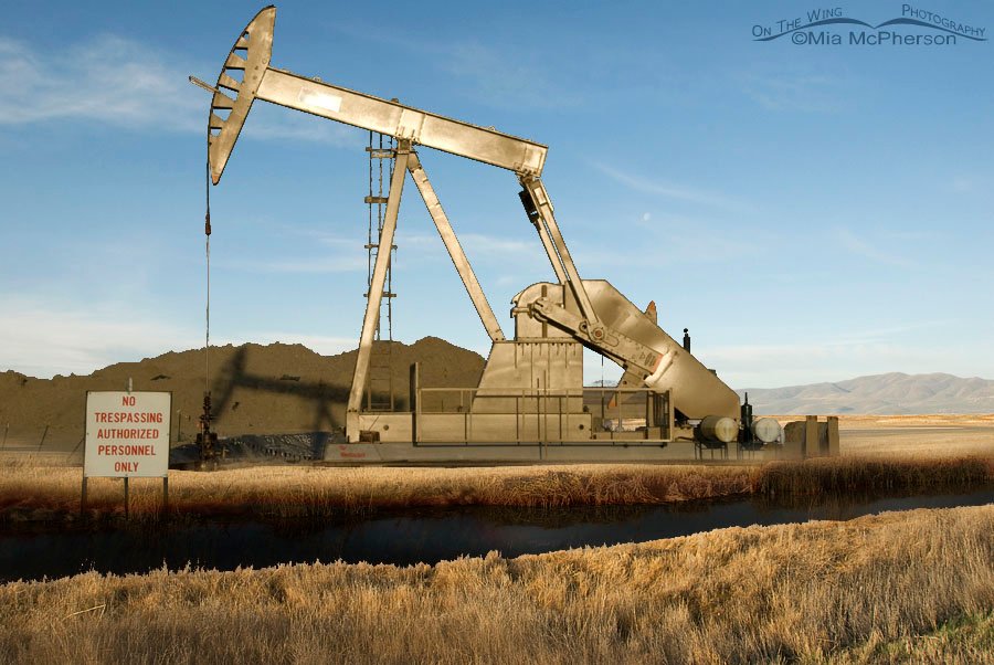 Don’t allow fracking to happen to Bear River Migratory Bird Refuge, Utah