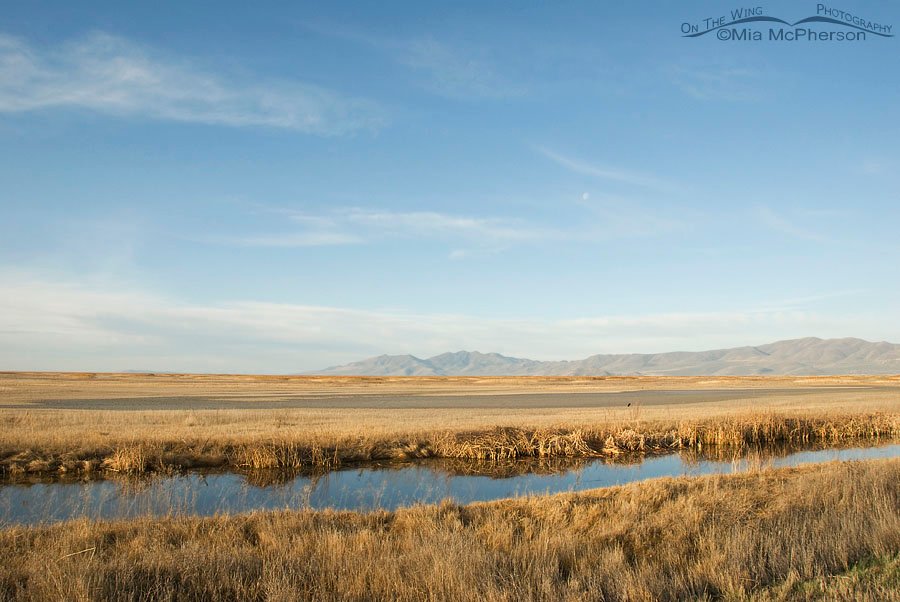 Bear River MBR from the auto tour loop, Box Elder County, Utah