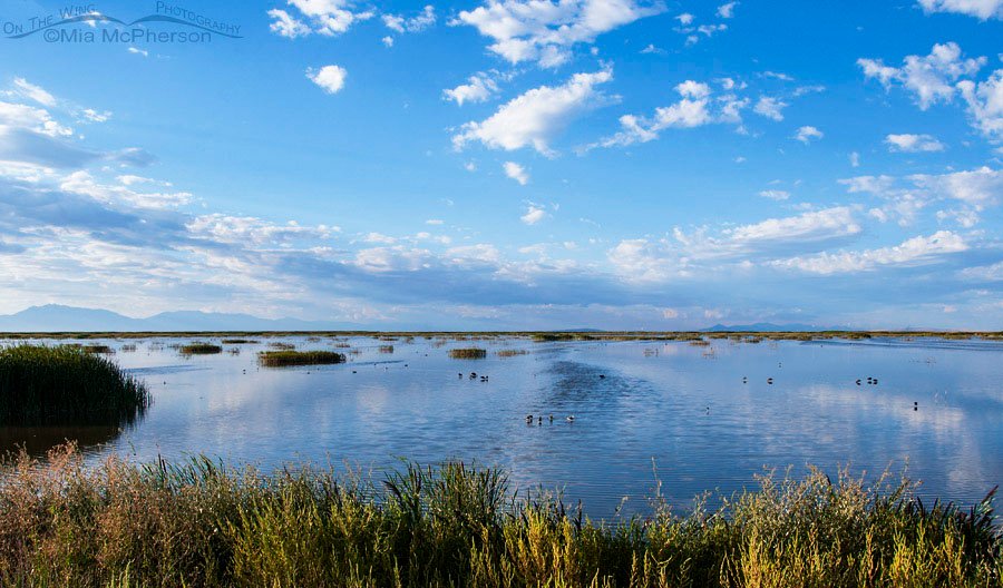 Storm clouds moving towards Bear River Migratory Bird Refuge, Box Elder County, Utah