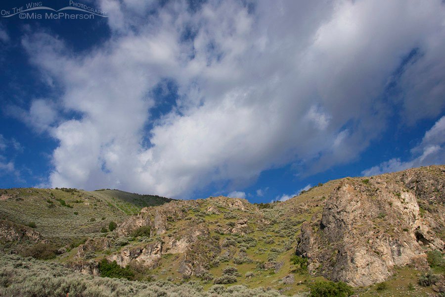 Box Elder County Images