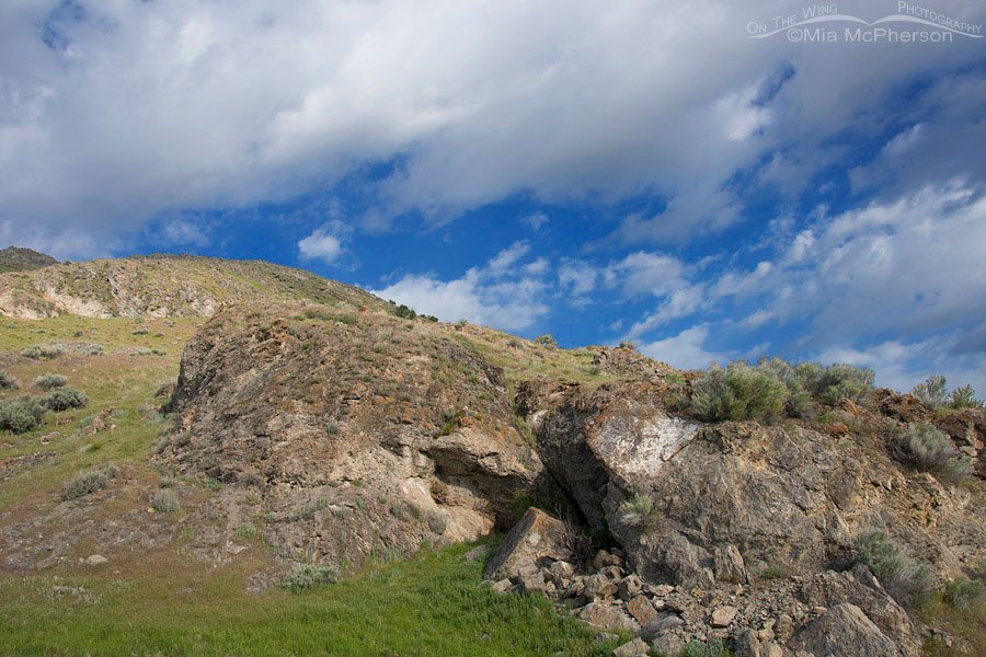 Cliff face, mountains and clouds, Box Elder County, Utah