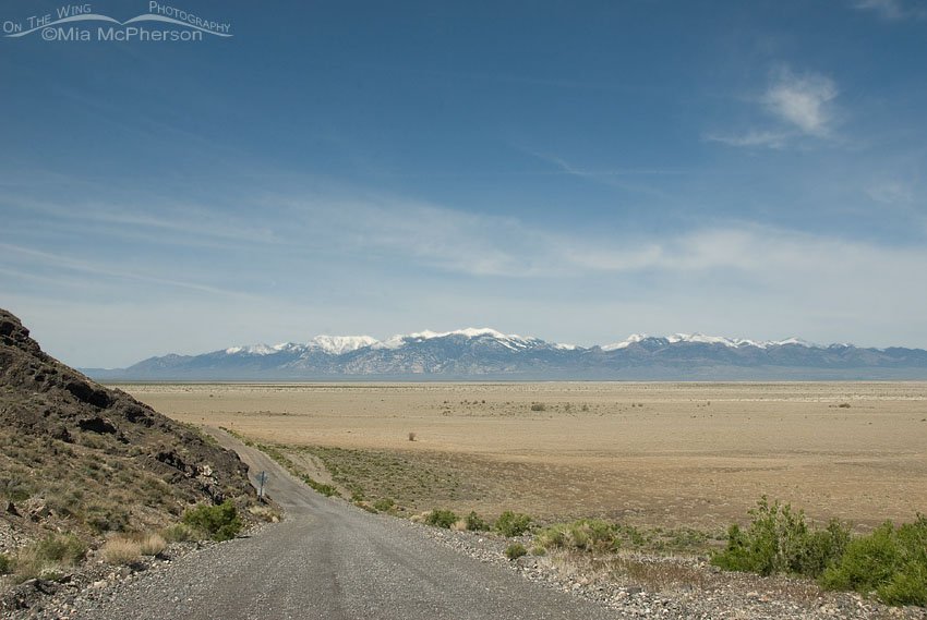 View of the Deep Creek Mountain Range west of Fish Springs NWR, Juab County, Utah
