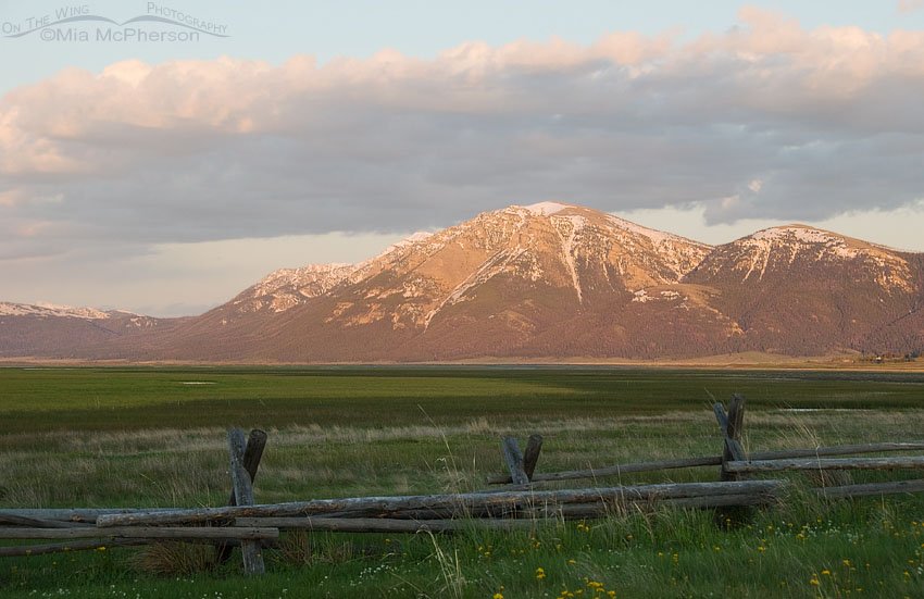 Evening light on the Centennial Mountains, Red Rock Lakes National Wildlife Refuge, Centennial Valley, Beaverhead County, Montana