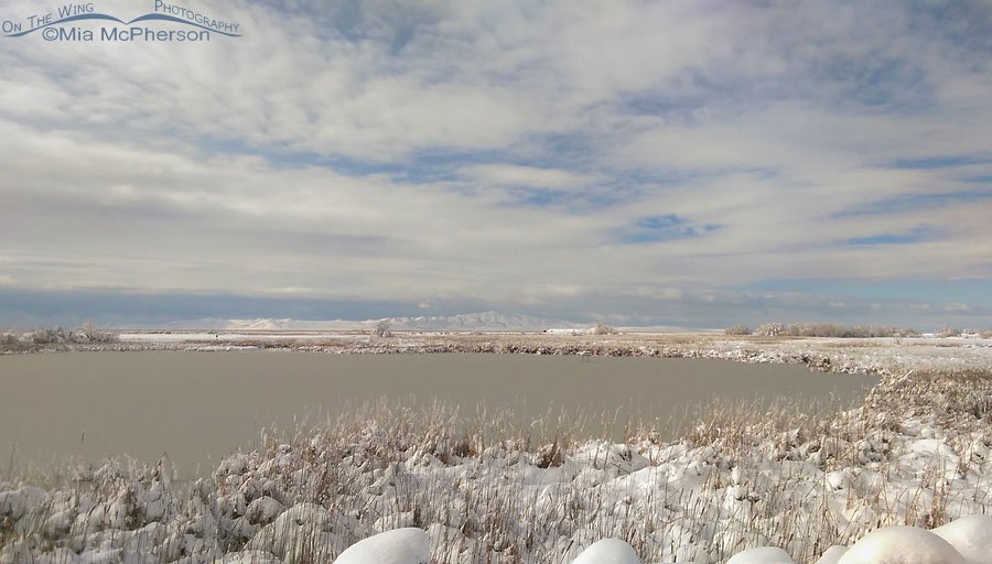 Snow and a frozen marsh at Farmington Bay WMA, Davis County, Utah