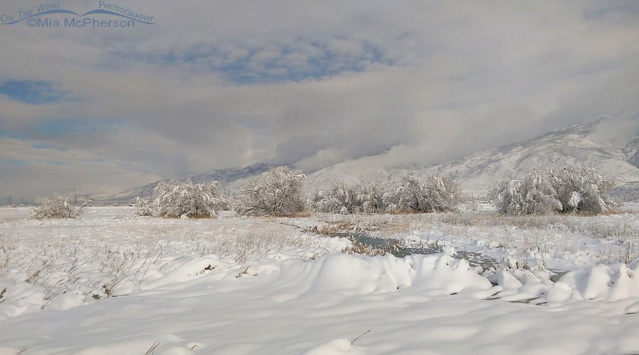 Fresh snows covers Farmington Bay and the Wasatch Range, Davis County, Utah
