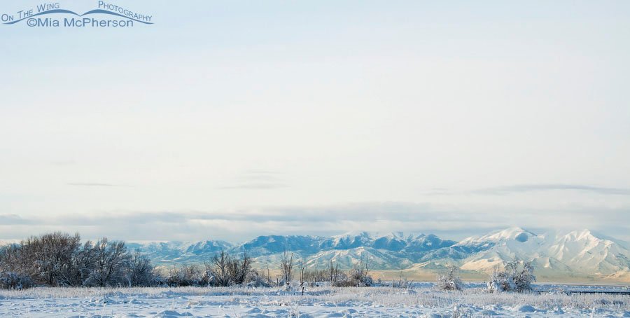 Snow covered Farmington Bay and the Oquirrh Mountains, Davis County, Utah
