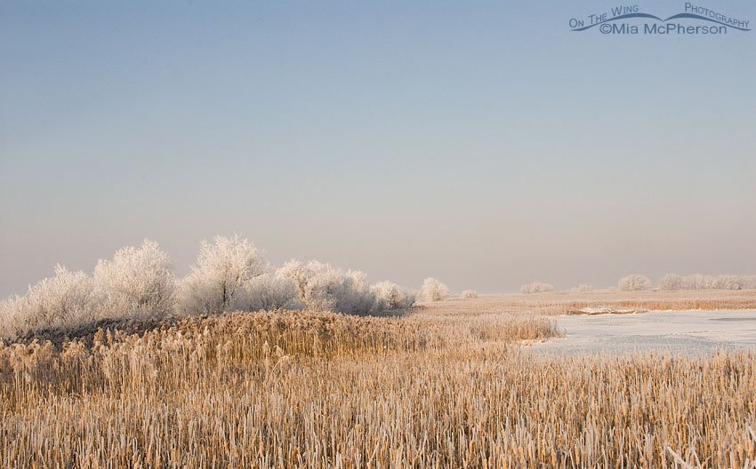 Frost covered Farmington Bay, Davis County, Utah