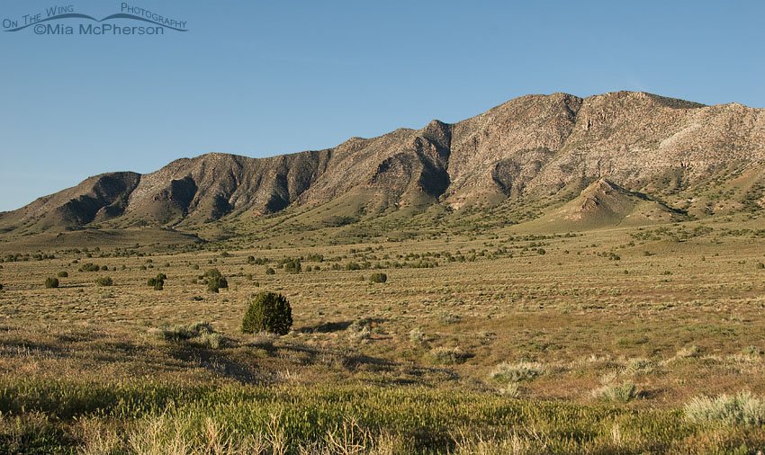 Mountains on the way to Fish Springs NWR, West Desert, Utah