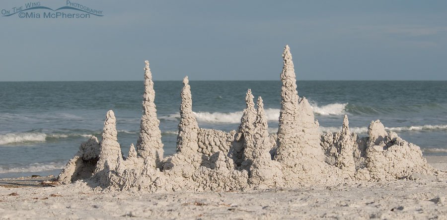 Sand castle at Fort De Soto’s north beach, Fort De Soto County Park, Pinellas County, Florida