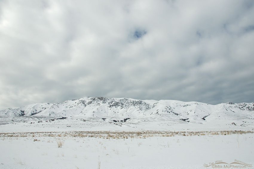 Snow on Frary Peak in January, Antelope Island State Park, Davis County, Utah