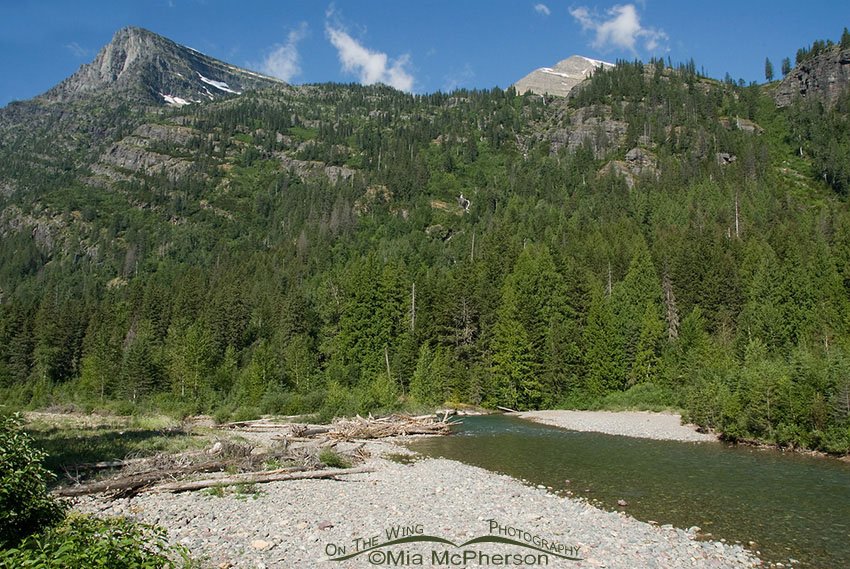 Glacier National Park, Montana, Glacier County