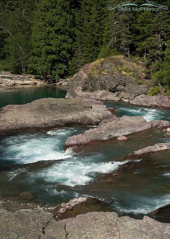 Rushing water at Glacier National Park, Glacier County, Montana