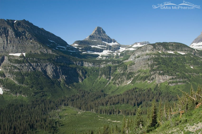 Looking down into a valley at Glacier National Park, Glacier County, Montana