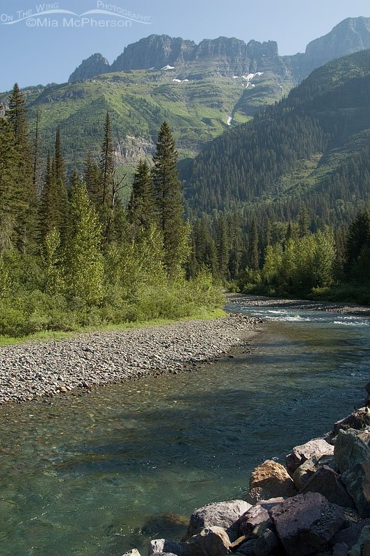 Beautiful river view at Glacier National Park, Montana