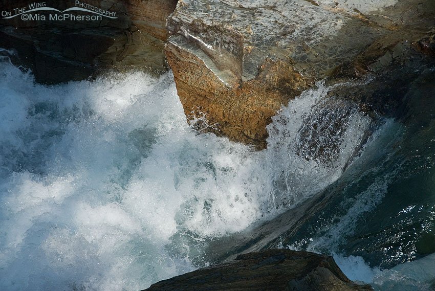 Rapids close up at Glacier National Park, Glacier County, Montana