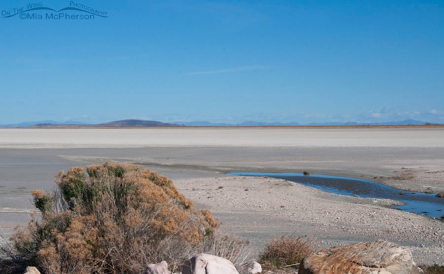 Great Salt Lake as seen from the Antelope Island Causeway on April 12, 2015