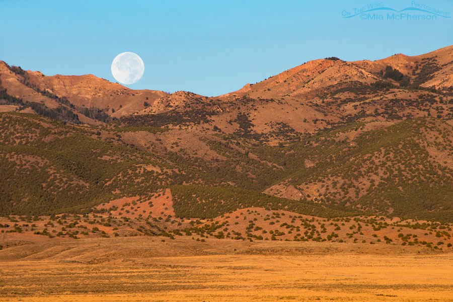 Harvest Moon setting over the Stansbury Mountains October 6, 2017, West Desert, Tooele County, Utah