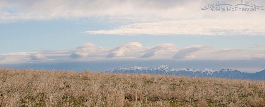 Wasatch Mountains and Kelvin-Helmholtz clouds as seen from Antelope Island State Park, Davis County, Utah