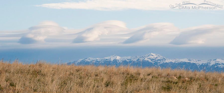 Wave Cloud Formation (Kelvin-Helmholtz clouds) over snow-capped Wasatch Range as seen from Antelope Island State Park, Davis County, Utah