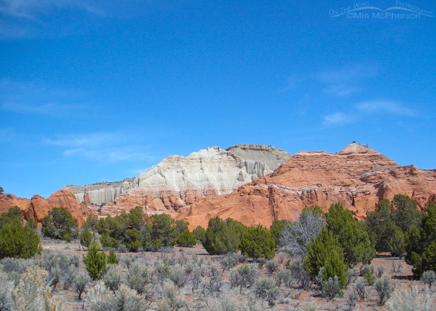 Wide view of Kodachrome Basin State Park in spring, Kane County, Utah