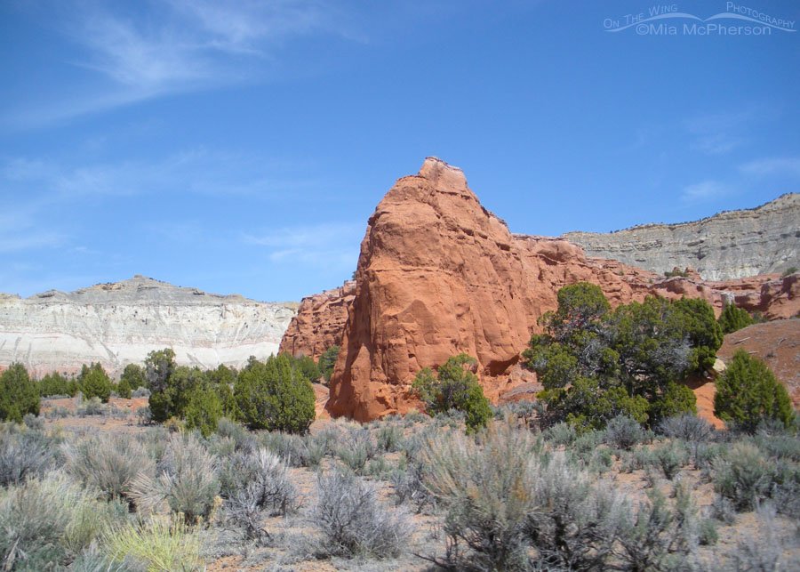 Spring view of Kodachrome Basin State Park, Kane County, Utah