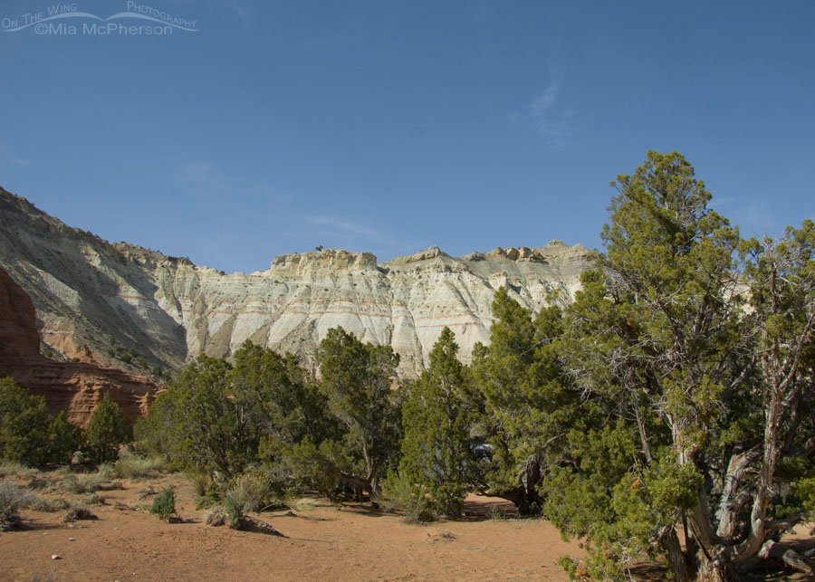 View from a Kodachrome Basin State Park campsite, Kane County, Utah