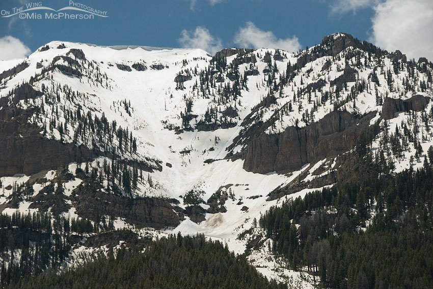 Lots of snow left on the Centennial Mountains, Red Rock Lakes National Wildlife Refuge, Centennial Valley, Beaverhead County, Montana