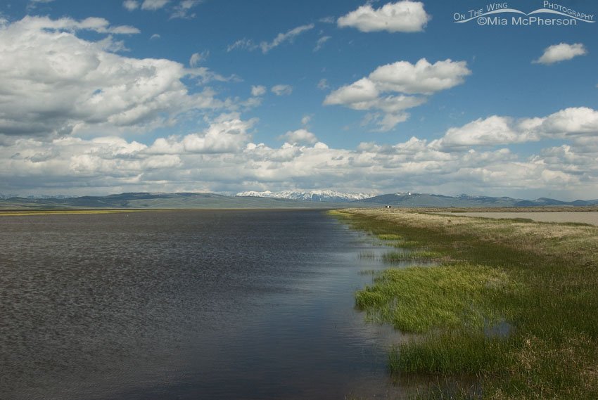 From the dam at the Lower Lake at Red Rock Lakes NWR, Centennial Valley, Beaverhead County, Montana