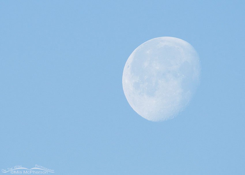 Setting Moon over the West Desert, Tooele County, Utah