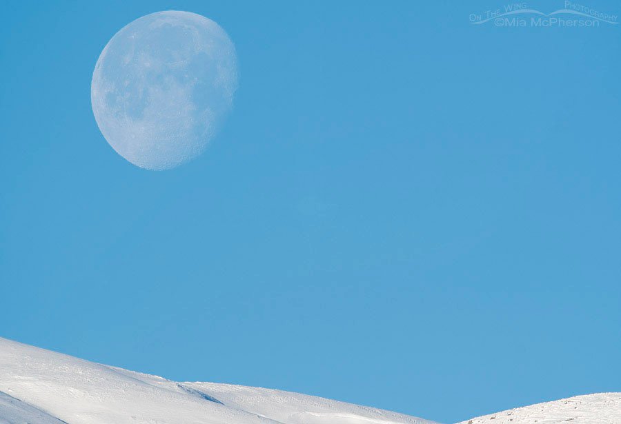 Snow-covered Promontory Mountains and the descending Moon, Box Elder County, Utah