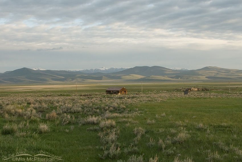 The old barn is gone, Centennial Valley, Beaverhead County, Montana